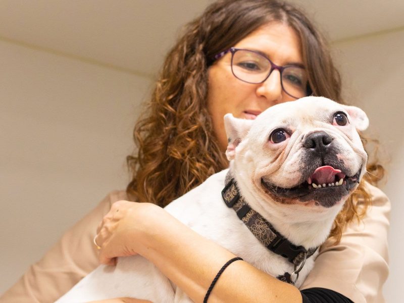 plan-salud-adulto-perro